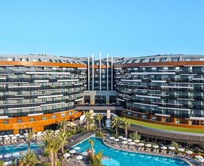 Calyptus Kirman Premium